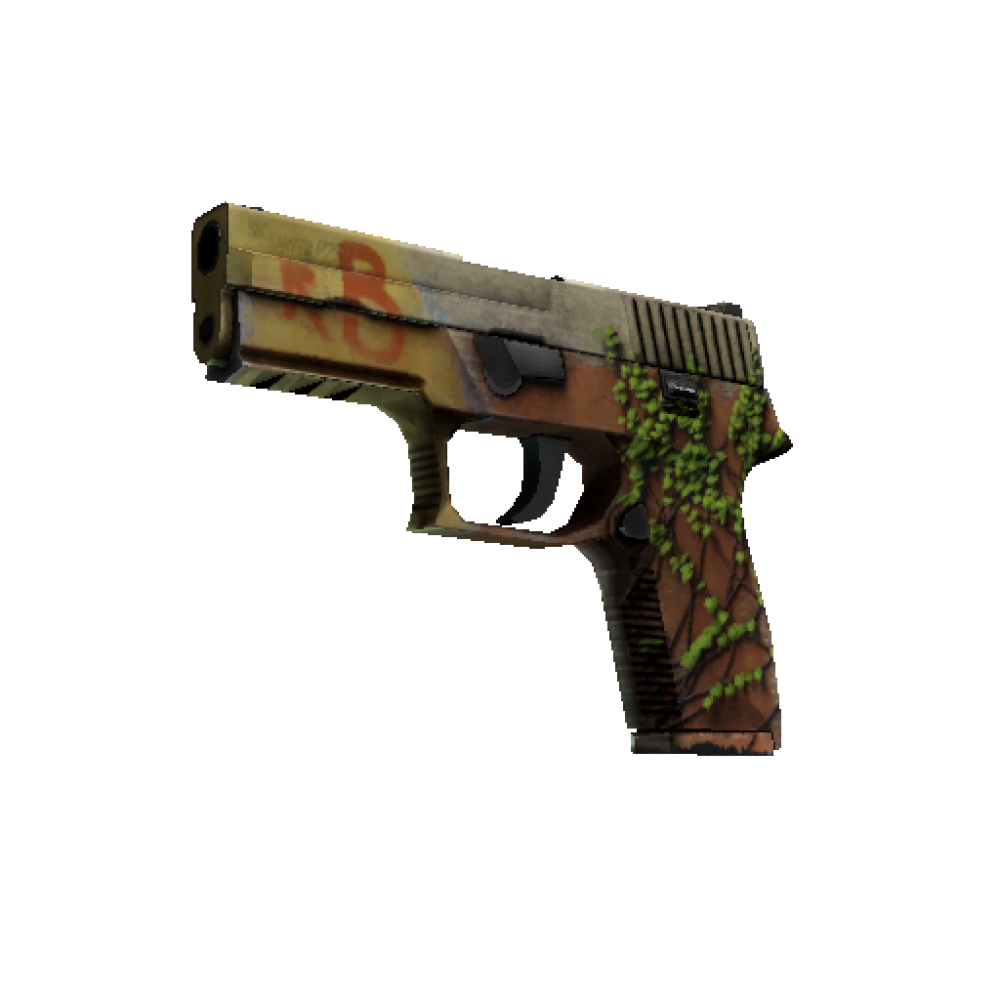 StatTrak™ P250 | Инферно (После полевых испытаний)