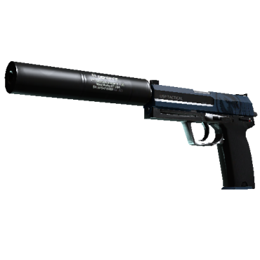 StatTrak™ USP-S | Страж (Немного поношенное)